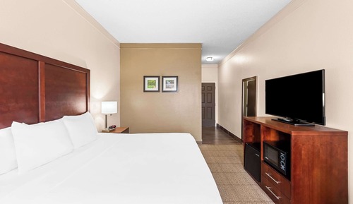 Standard Room, 1 King Bed, Non Smoking
