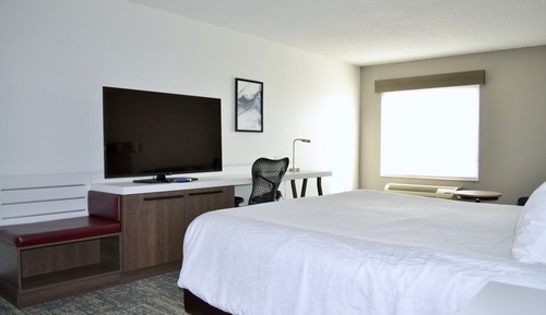 Room, 1 King Bed, Accessible (Roll-In Shower)