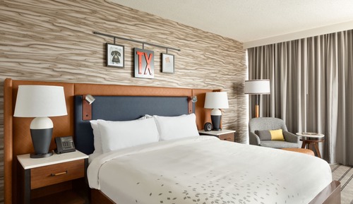 Room, 1 King Bed