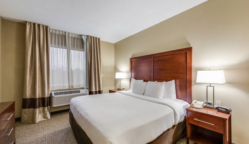 Suite, 1 King Bed with Sofa bed, Accessible, Non Smoking