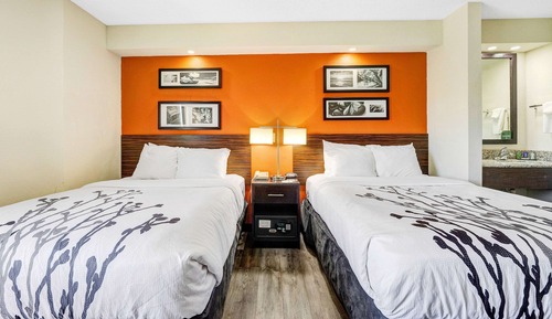 Standard Double Room, 2 Double Beds, Non Smoking