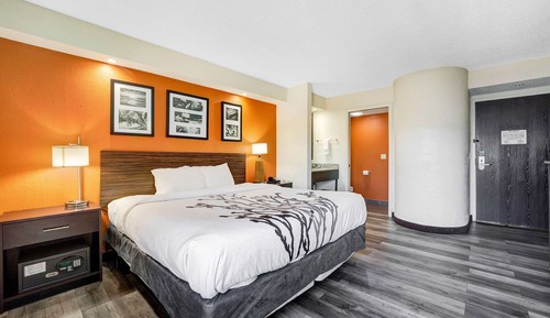 Room, 1 King Bed, Non Smoking