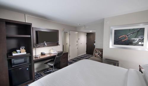 Suite, 1 King Bed with Sofa bed, Non Smoking