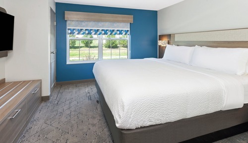 Suite, 1 King Bed with Sofa bed