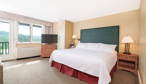 Room, 1 King Bed