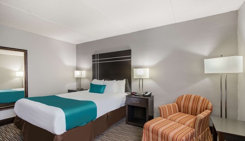 Standard Room, 1 Queen Bed, Accessible, Non Smoking (Walk-in Shower)