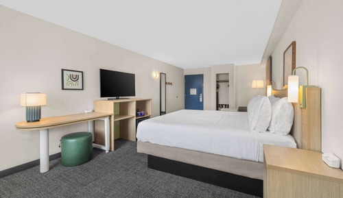 Room, 1 King Bed with Sofa bed