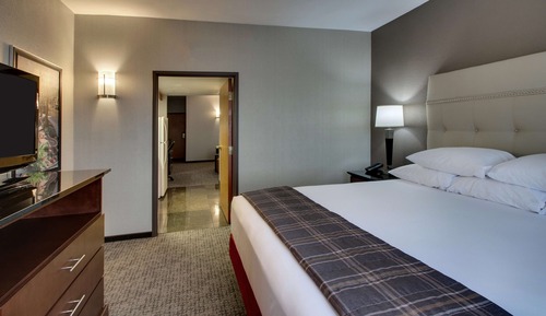 Suite, 1 King Bed with Sofa bed, Refrigerator & Microwave (2 rooms)