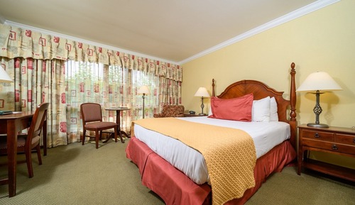 Standard Room, 1 King Bed