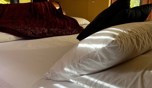 City Room, 1 Queen Bed