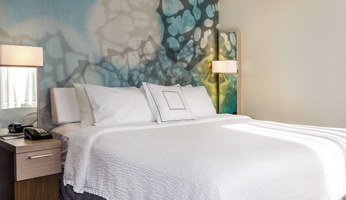 Suite, 1 King Bed with Sofa bed