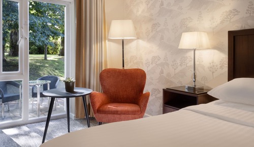 Superior Room, 1 King Bed, Terrace