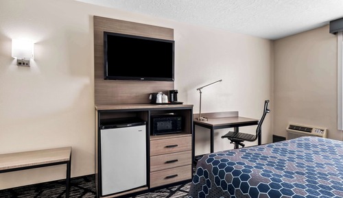 Standard Room, 1 Queen Bed, Non Smoking, Refrigerator & Microwave
