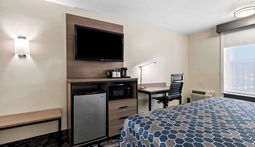 Standard Room, 1 Queen Bed, Accessible, Refrigerator & Microwave (Walk-in Shower)