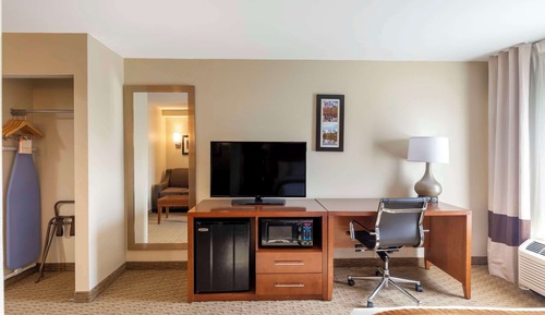 Suite, 1 King Bed with Sofa bed, Non Smoking
