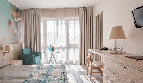 Double Room Single Use