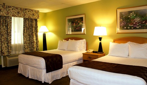 Standard Room, 2 Double Beds, Accessible
