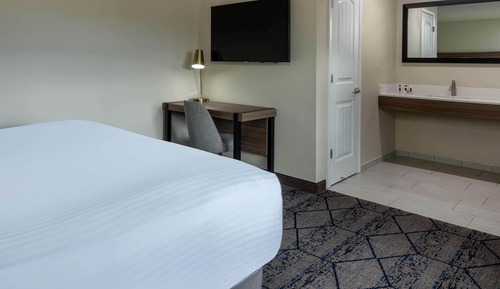 Room, 1 King Bed, Non Smoking