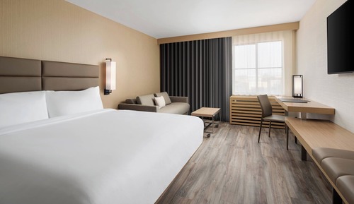 Room, 1 King Bed with Sofa bed