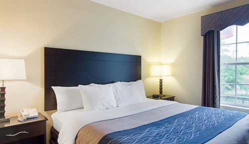 Standard Room, 1 King Bed, Accessible, Non Smoking