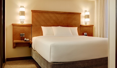 Room, 1 King Bed, Accessible, Bathtub