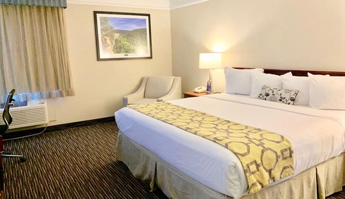 Room, 1 King Bed, Non Smoking