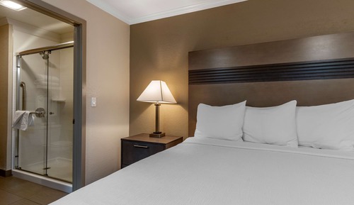 Standard Room, 1 King Bed, Non Smoking, Refrigerator & Microwave (Shower Only)