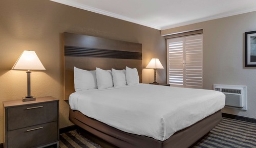 Executive Room, 1 King Bed, Non Smoking, Refrigerator & Microwave