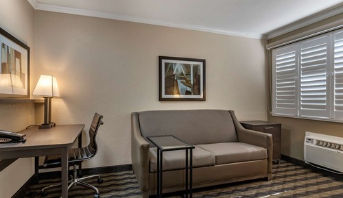 Standard Room, 1 King Bed, Non Smoking, Refrigerator & Microwave (with Sofabed)