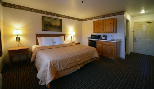 Executive Room, 1 King Bed, Refrigerator & Microwave