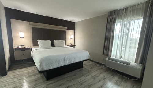 Room, 1 King Bed, Non Smoking