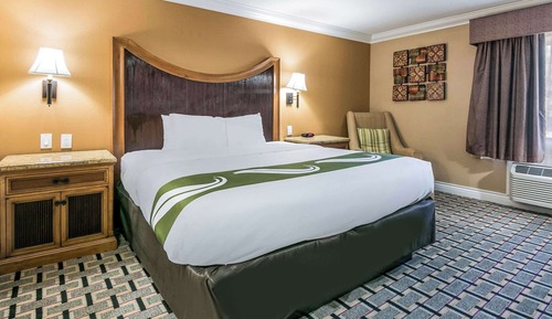 Room, 1 King Bed, Non Smoking