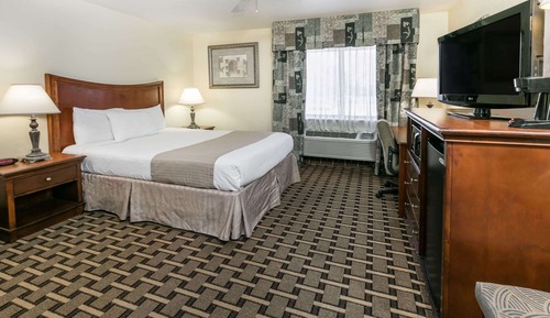 Room, 1 Queen Bed, Accessible, Non Smoking (Mobility,Hearing,Tub w/Grab Bars)
