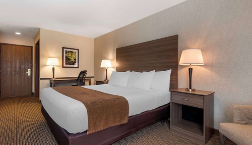 Executive Room, 1 King Bed, Non Smoking, Refrigerator & Microwave