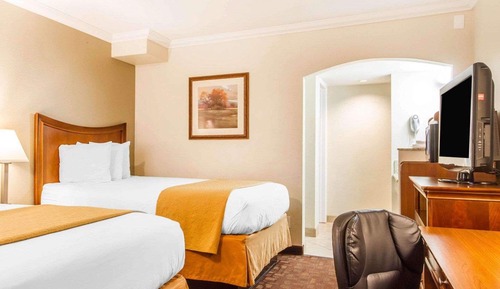 Double Room, 2 Double Beds, Non Smoking