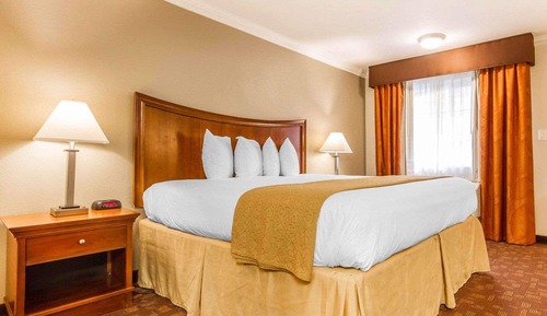 Business Room, 1 King Bed, Non Smoking