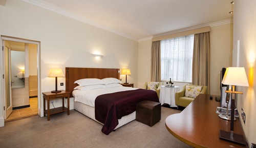 Standard Room, 1 Double Bed
