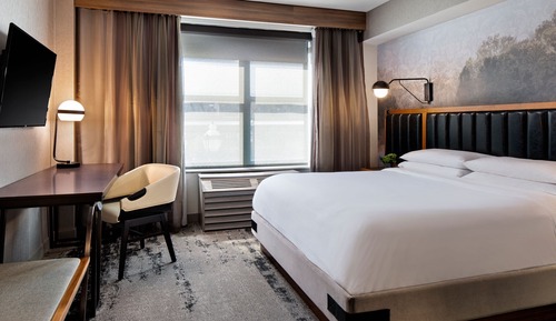 Suite, 1 King Bed with Sofa bed