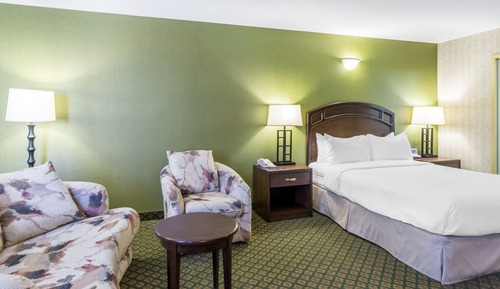 Standard Room 1 Queen Bed Non Smoking 