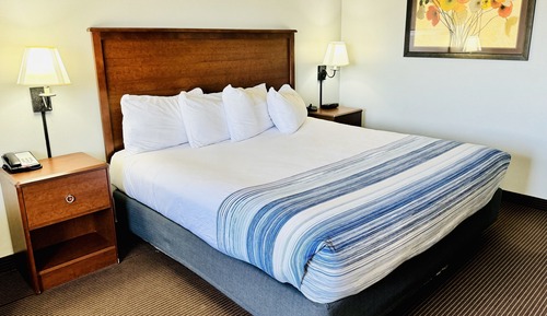 Room, 1 King Bed, Non Smoking