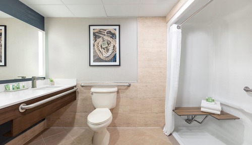 Suite, 1 Bedroom, Accessible, City View (Mobility)