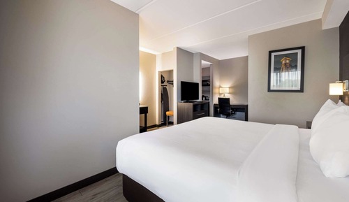 Standard Room, 1 King Bed with Sofa bed, Non Smoking
