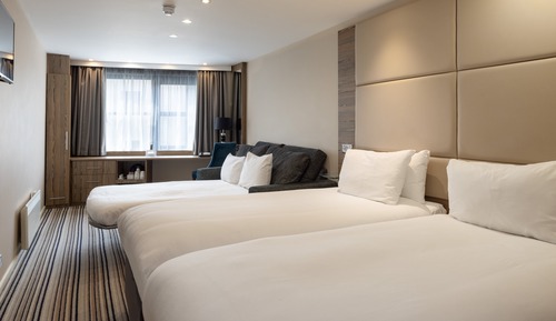 Premium Room, Multiple Beds