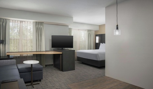 Studio, 1 King Bed with Sofa bed