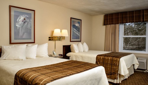 Standard Double Room, 2 Double Beds