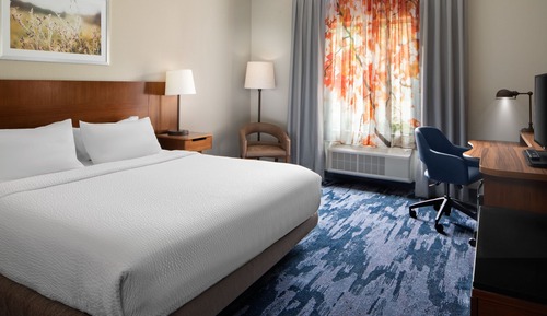 Room, 1 King Bed, Non Smoking (Mobility Accessible, Roll-in Shower)