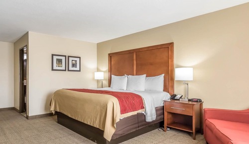 Room, 1 King Bed, Non Smoking