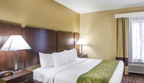 Room, 1 King Bed, Non Smoking