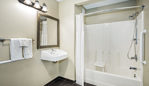 Suite, 1 Bedroom, Accessible, Kitchen (Communication, Mobility Tub)