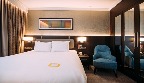 Standard Room, 1 King Bed, Accessible